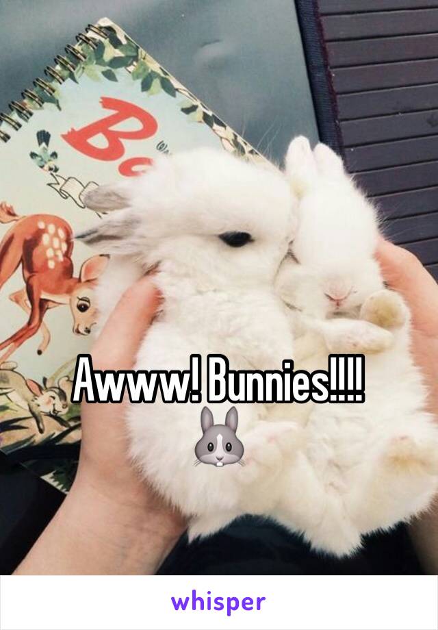 Awww! Bunnies!!!!
🐰