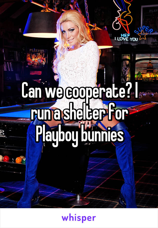 Can we cooperate? I run a shelter for Playboy bunnies