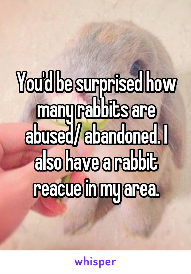 You'd be surprised how many rabbits are abused/ abandoned. I also have a rabbit reacue in my area.