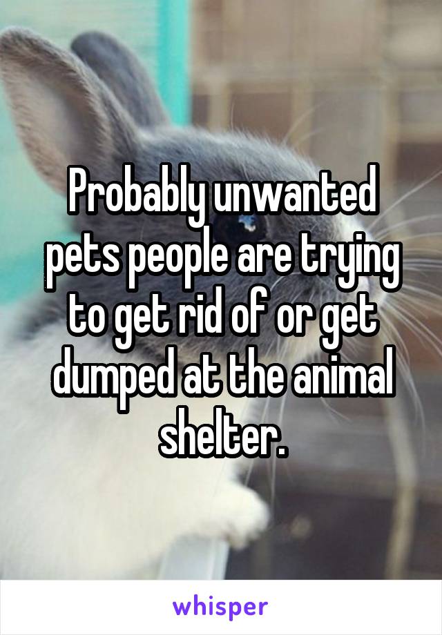 Probably unwanted pets people are trying to get rid of or get dumped at the animal shelter.