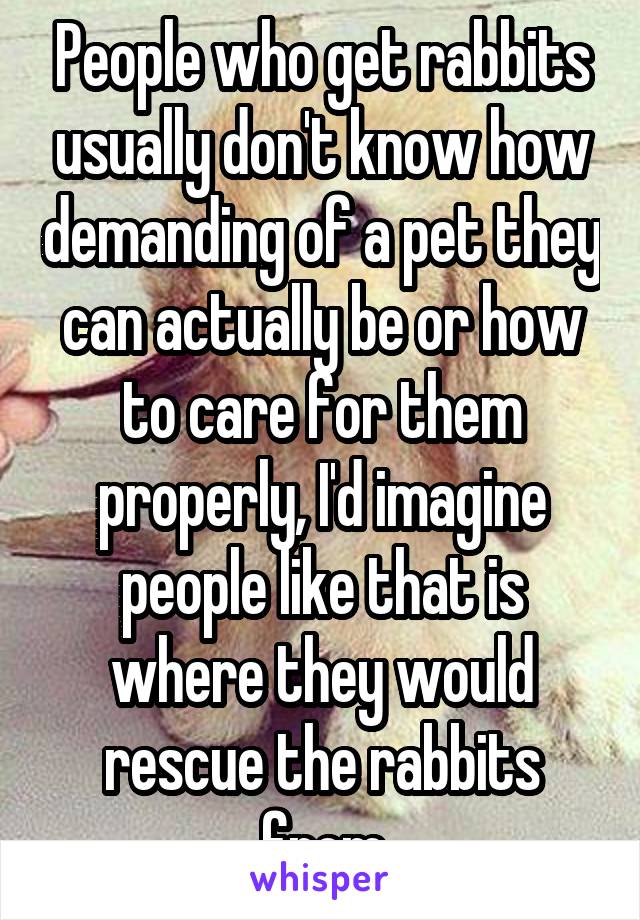 People who get rabbits usually don't know how demanding of a pet they can actually be or how to care for them properly, I'd imagine people like that is where they would rescue the rabbits from