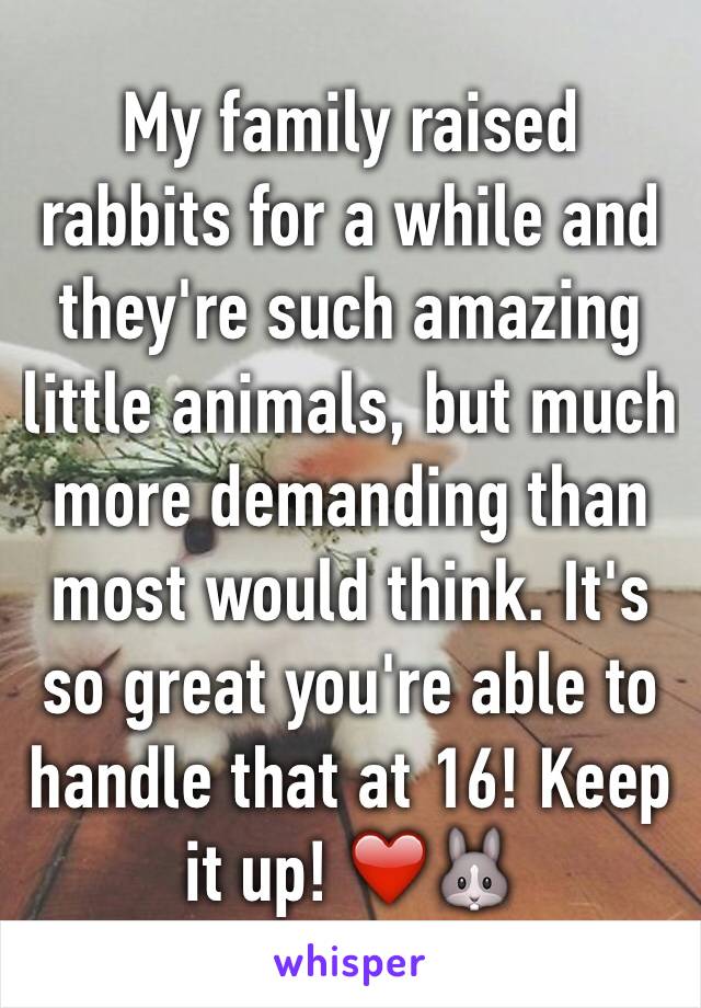 My family raised rabbits for a while and they're such amazing little animals, but much more demanding than most would think. It's so great you're able to handle that at 16! Keep it up! ❤️🐰