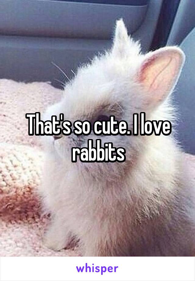 That's so cute. I love rabbits