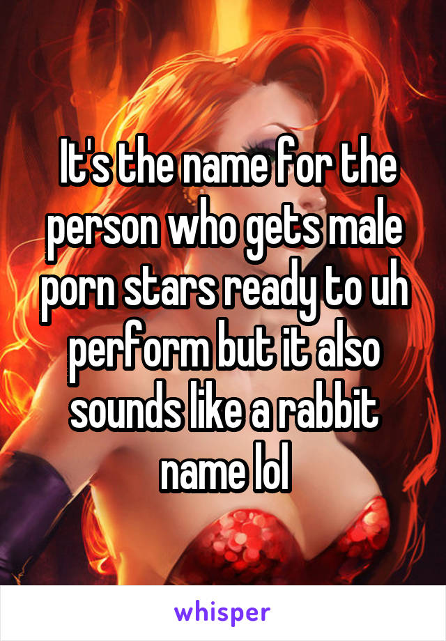  It's the name for the person who gets male porn stars ready to uh perform but it also sounds like a rabbit name lol