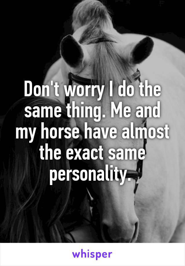 Don't worry I do the same thing. Me and my horse have almost the exact same personality. 