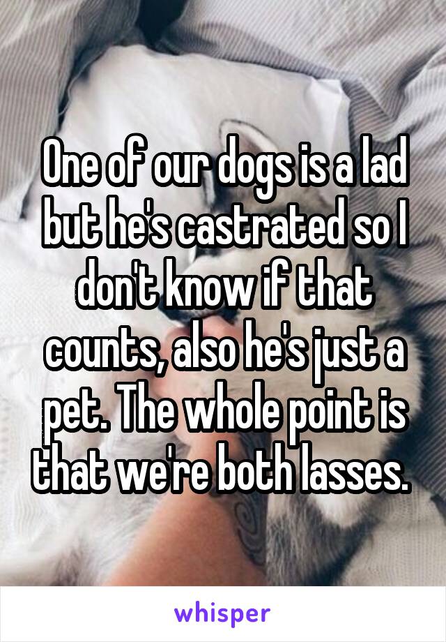 One of our dogs is a lad but he's castrated so I don't know if that counts, also he's just a pet. The whole point is that we're both lasses. 