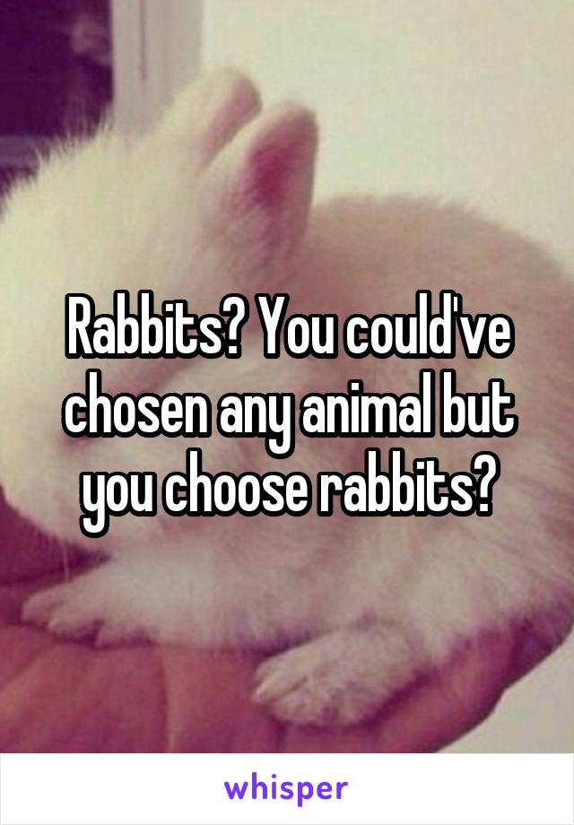 Rabbits? You could've chosen any animal but you choose rabbits?