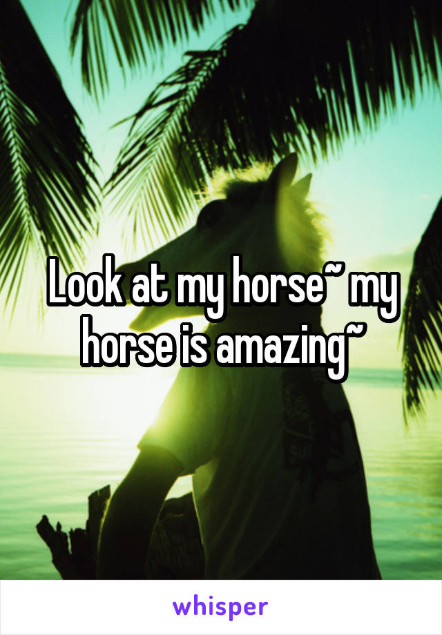Look at my horse~ my horse is amazing~