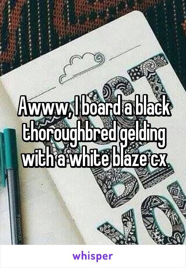 Awww, I board a black thoroughbred gelding with a white blaze cx