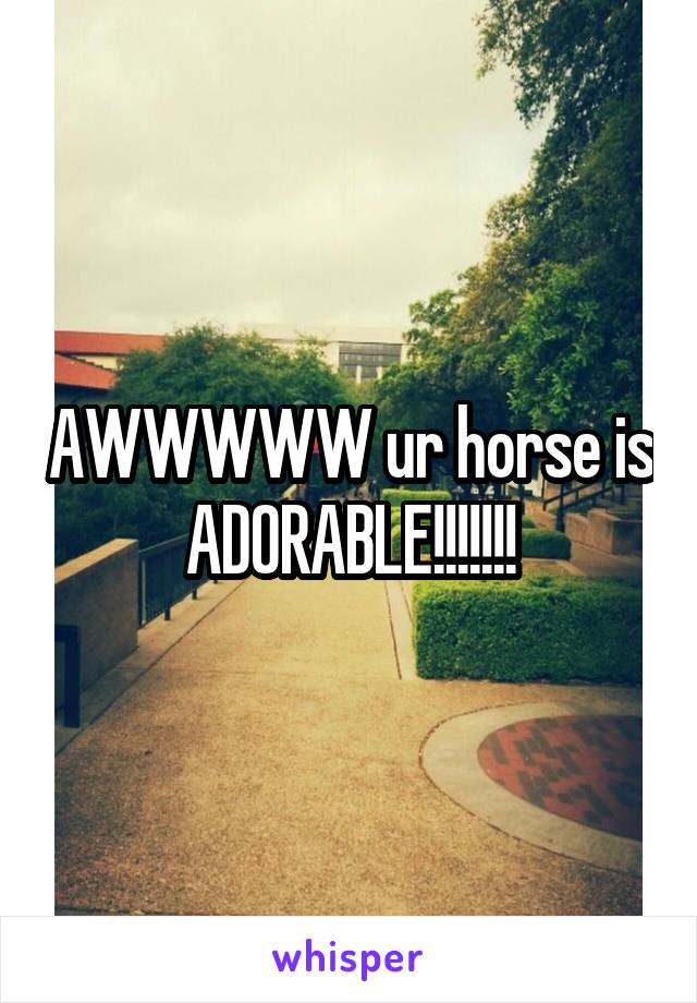 AWWWWW ur horse is ADORABLE!!!!!!!