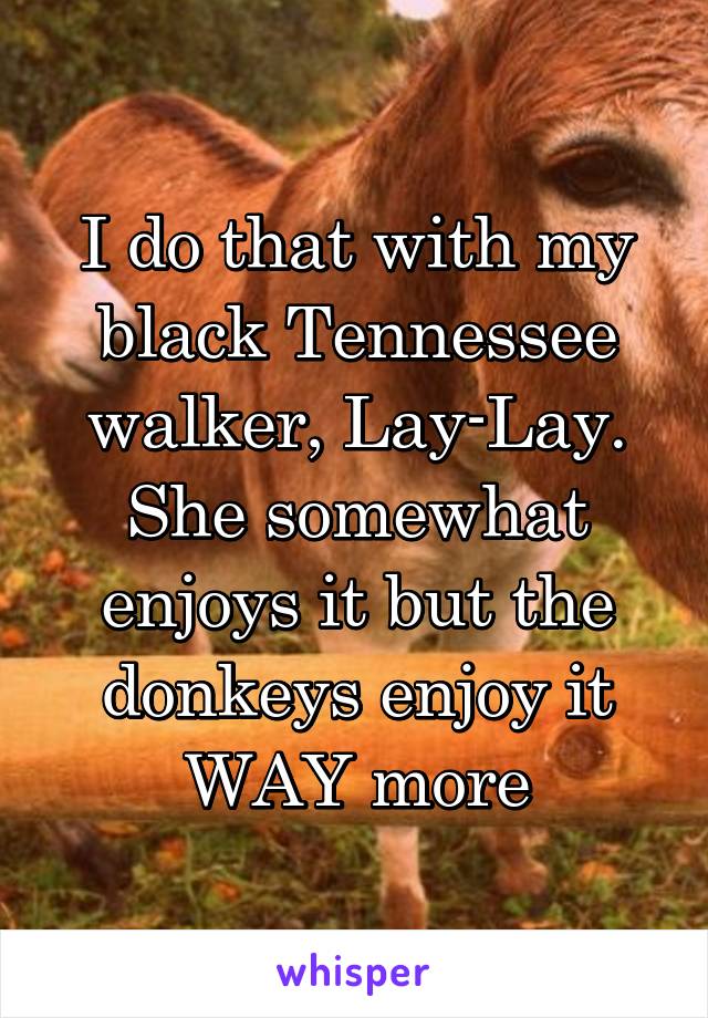I do that with my black Tennessee walker, Lay-Lay. She somewhat enjoys it but the donkeys enjoy it WAY more