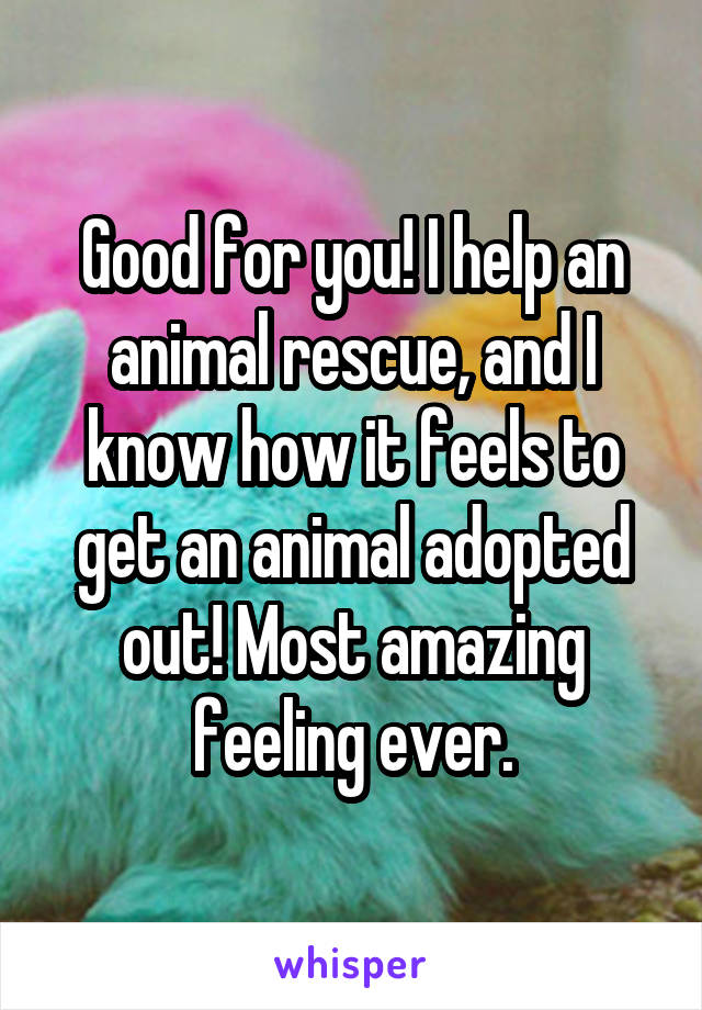 Good for you! I help an animal rescue, and I know how it feels to get an animal adopted out! Most amazing feeling ever.