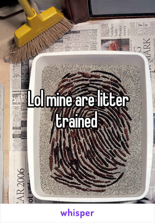 Lol mine are litter trained 