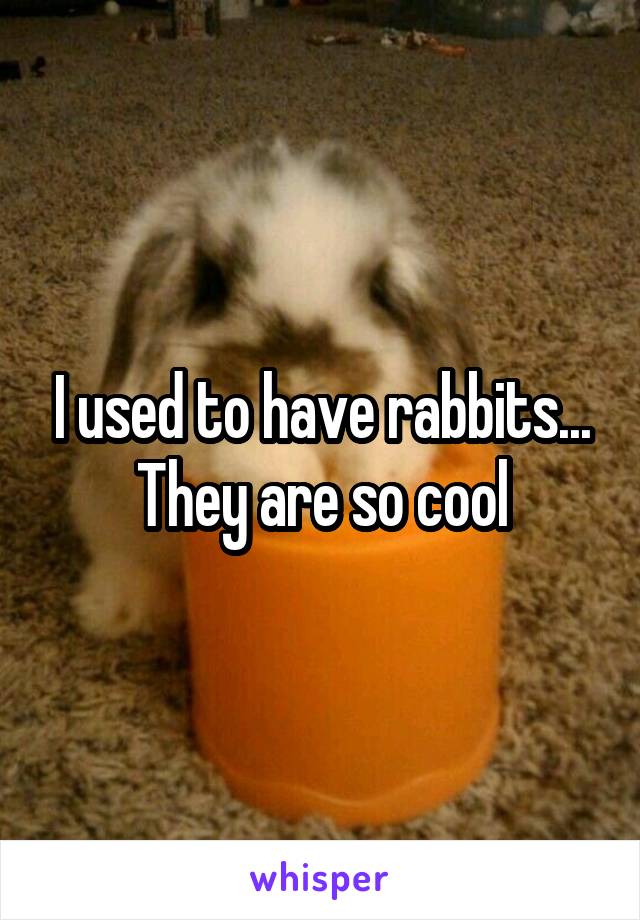 I used to have rabbits... They are so cool