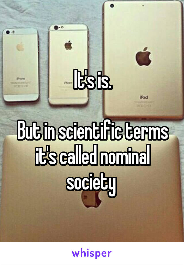 It's is.

But in scientific terms it's called nominal society 