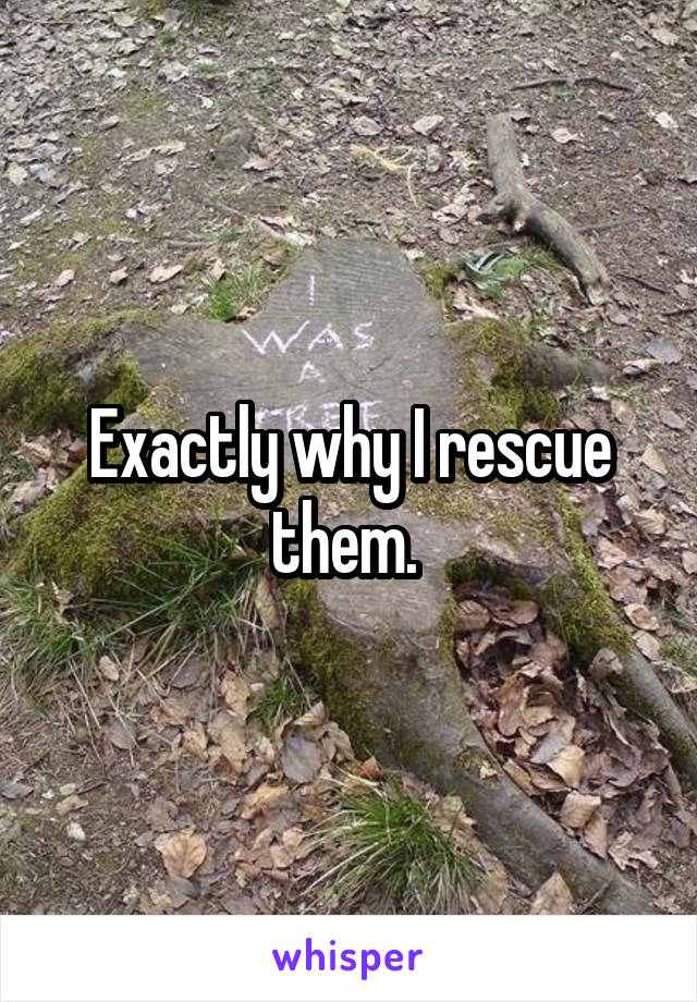 Exactly why I rescue them. 