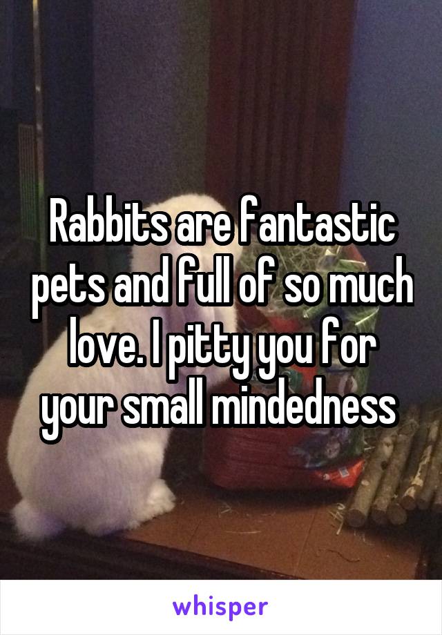 Rabbits are fantastic pets and full of so much love. I pitty you for your small mindedness 