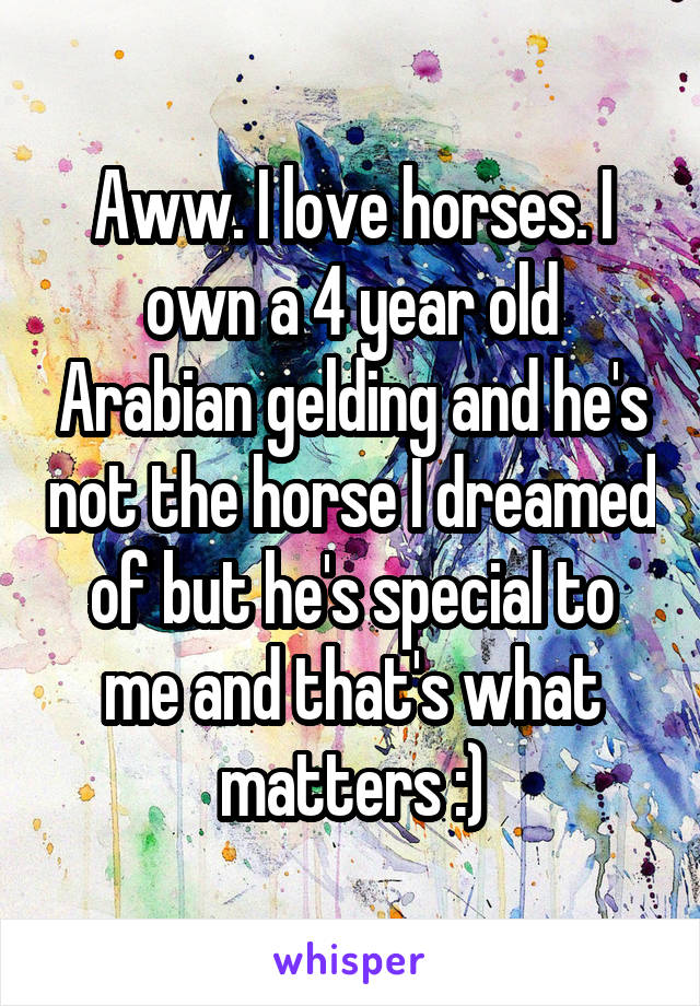 Aww. I love horses. I own a 4 year old Arabian gelding and he's not the horse I dreamed of but he's special to me and that's what matters :)