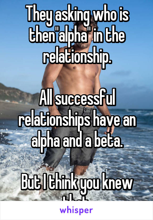 They asking who is then"alpha" in the relationship.

All successful relationships have an alpha and a beta.

But I think you knew that 