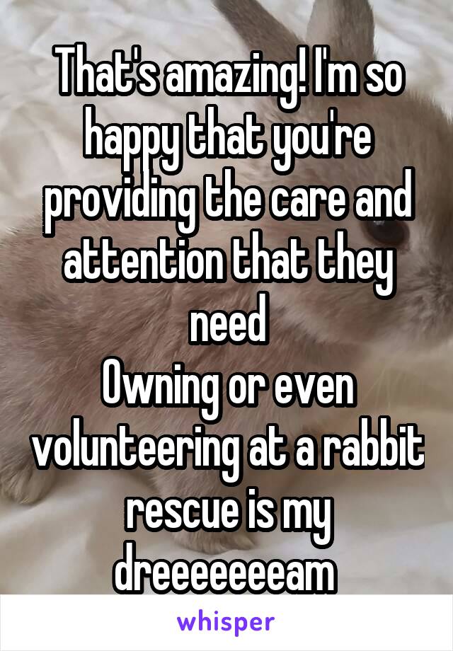 That's amazing! I'm so happy that you're providing the care and attention that they need
Owning or even volunteering at a rabbit rescue is my dreeeeeeeam 