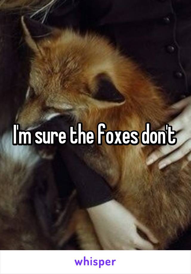 I'm sure the foxes don't 