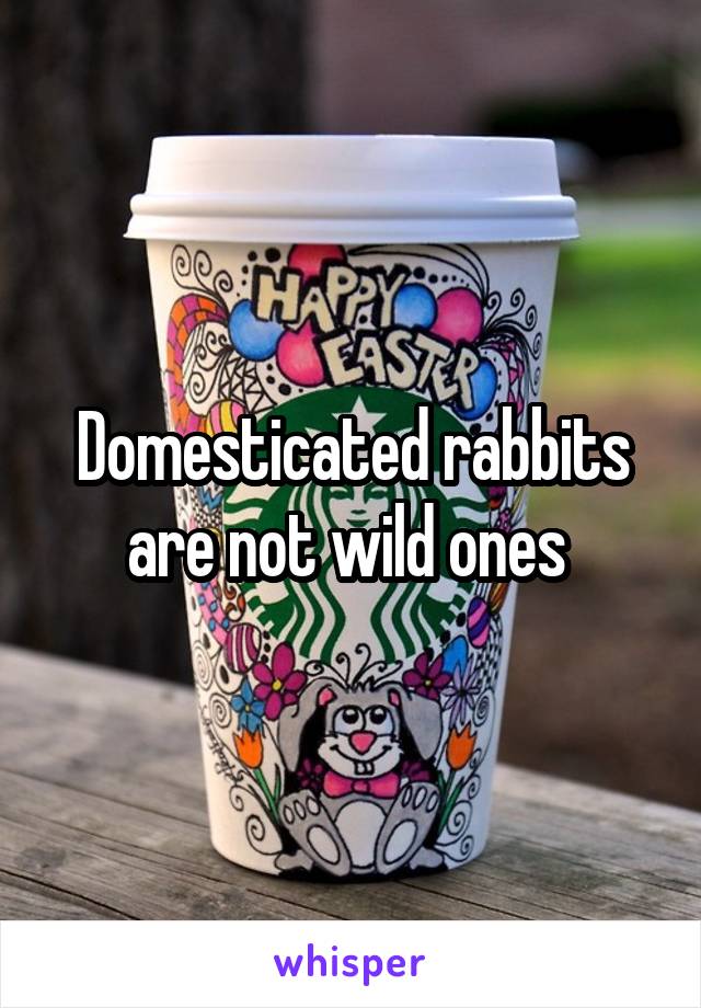 Domesticated rabbits are not wild ones 