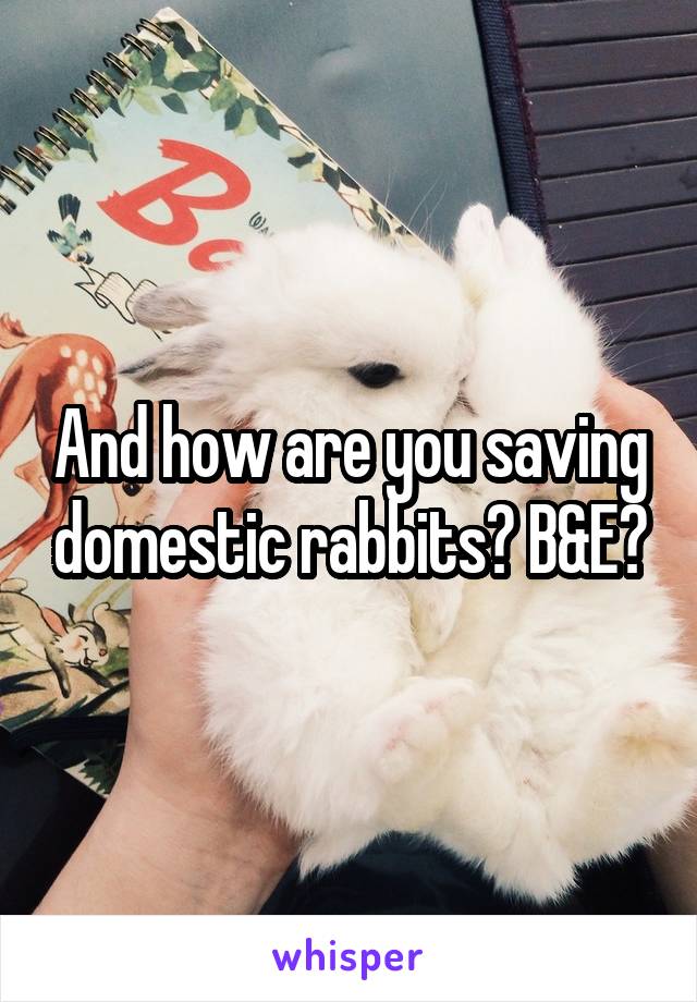 And how are you saving domestic rabbits? B&E?