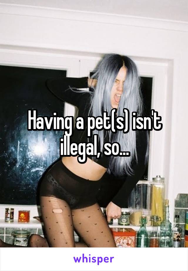 Having a pet(s) isn't illegal, so...