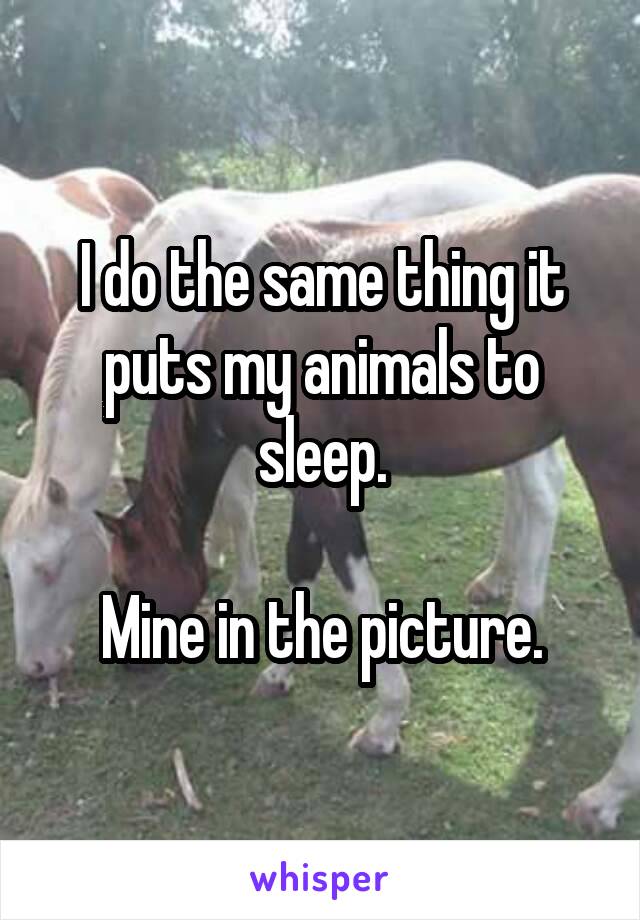 I do the same thing it puts my animals to sleep.

Mine in the picture.