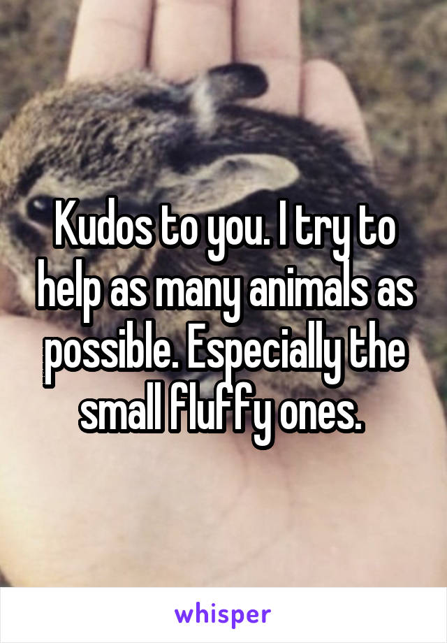 Kudos to you. I try to help as many animals as possible. Especially the small fluffy ones. 