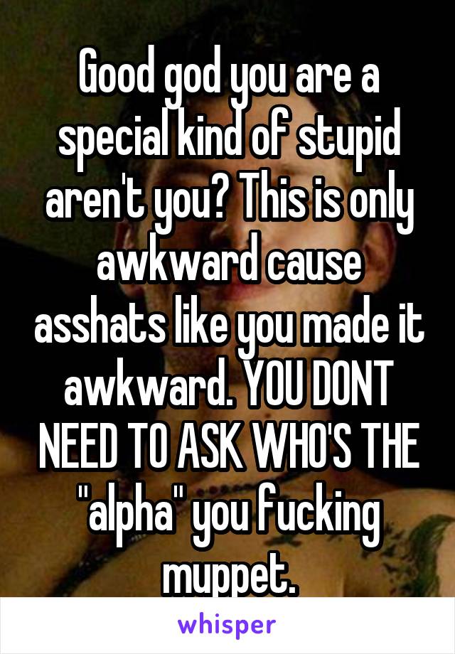 Good god you are a special kind of stupid aren't you? This is only awkward cause asshats like you made it awkward. YOU DONT NEED TO ASK WHO'S THE "alpha" you fucking muppet.