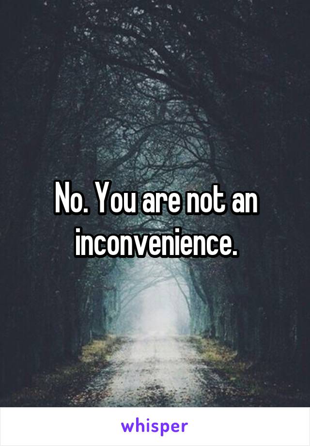 No. You are not an inconvenience.