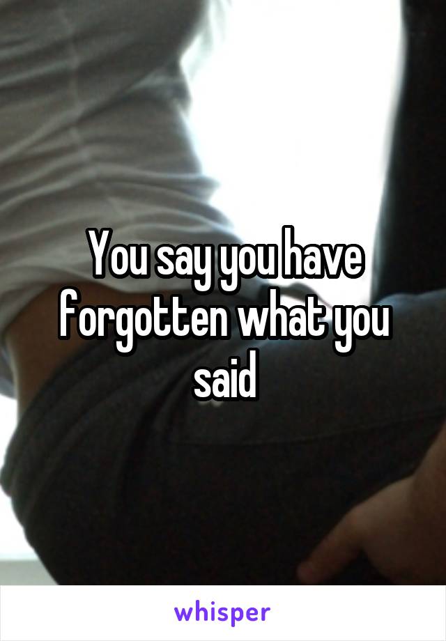 You say you have forgotten what you said