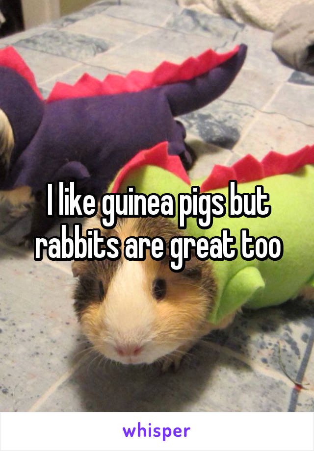 I like guinea pigs but rabbits are great too