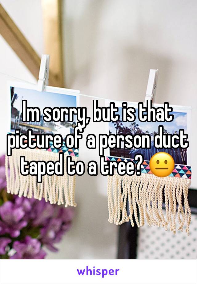 Im sorry, but is that picture of a person duct taped to a tree? 😐