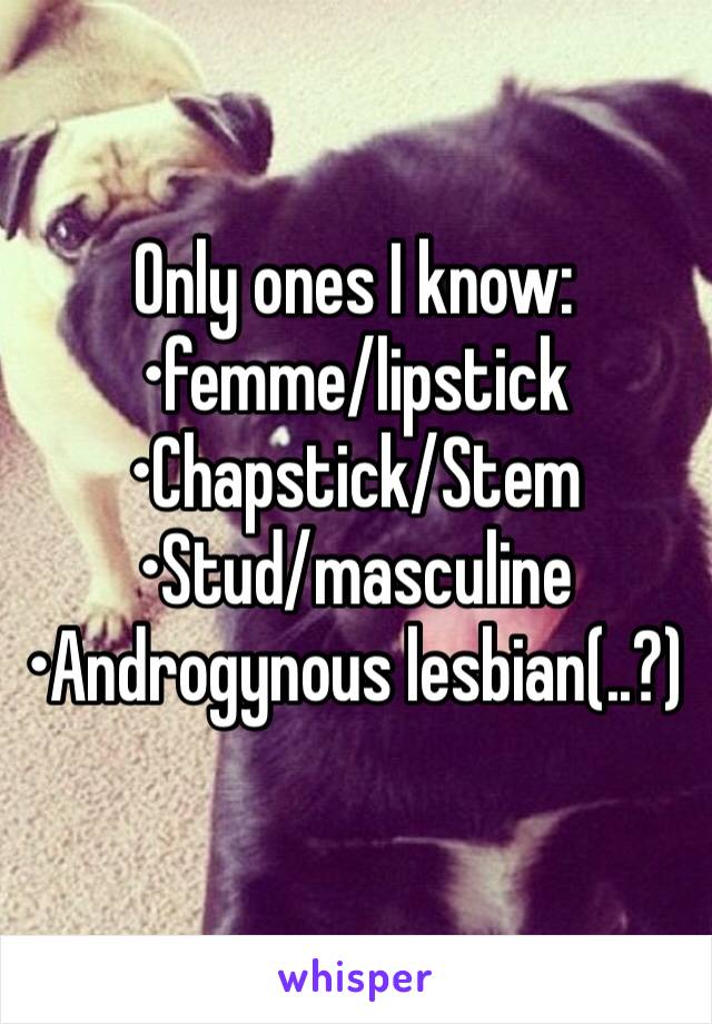 Only ones I know: 
•femme/lipstick 
•Chapstick/Stem
•Stud/masculine
•Androgynous lesbian(..?)