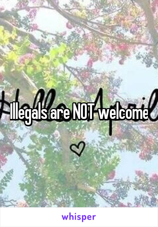 Illegals are NOT welcome