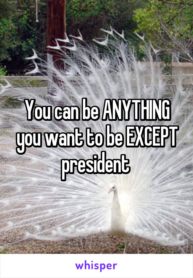 You can be ANYTHING you want to be EXCEPT president 