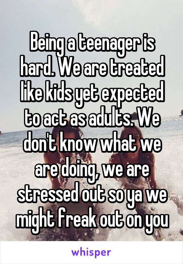 Being a teenager is hard. We are treated like kids yet expected to act as adults. We don't know what we are doing, we are stressed out so ya we might freak out on you
