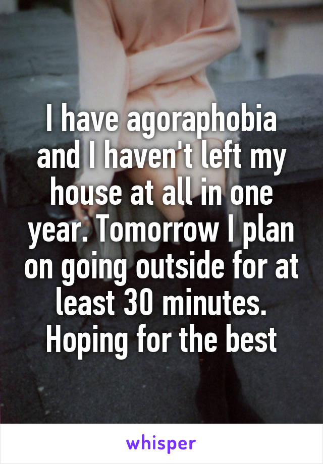 I have agoraphobia and I haven't left my house at all in one year. Tomorrow I plan on going outside for at least 30 minutes. Hoping for the best