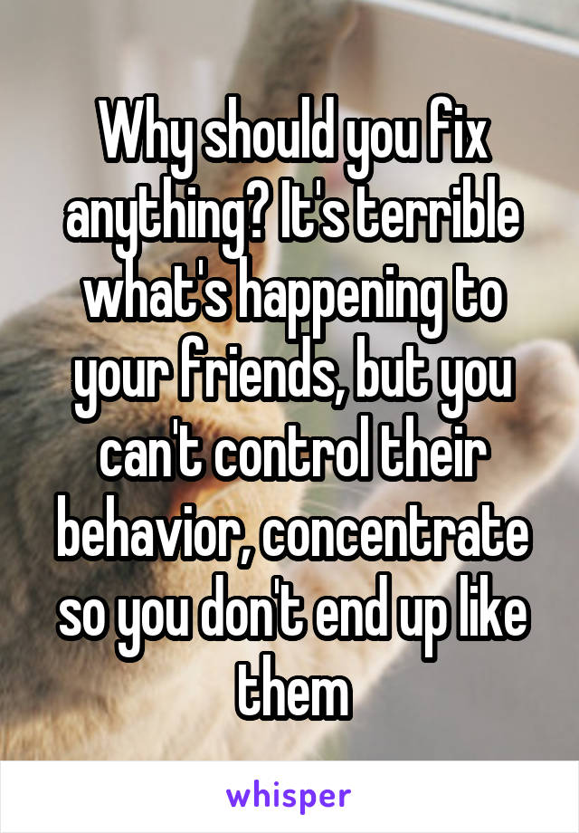 Why should you fix anything? It's terrible what's happening to your friends, but you can't control their behavior, concentrate so you don't end up like them