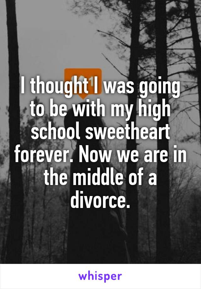 I thought I was going to be with my high school sweetheart forever. Now we are in the middle of a divorce.