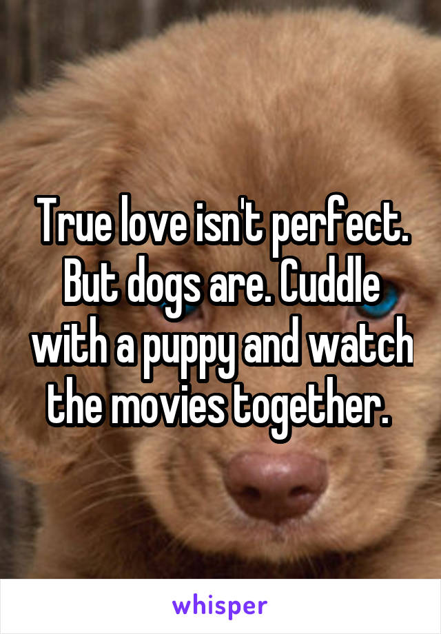 True love isn't perfect. But dogs are. Cuddle with a puppy and watch the movies together. 