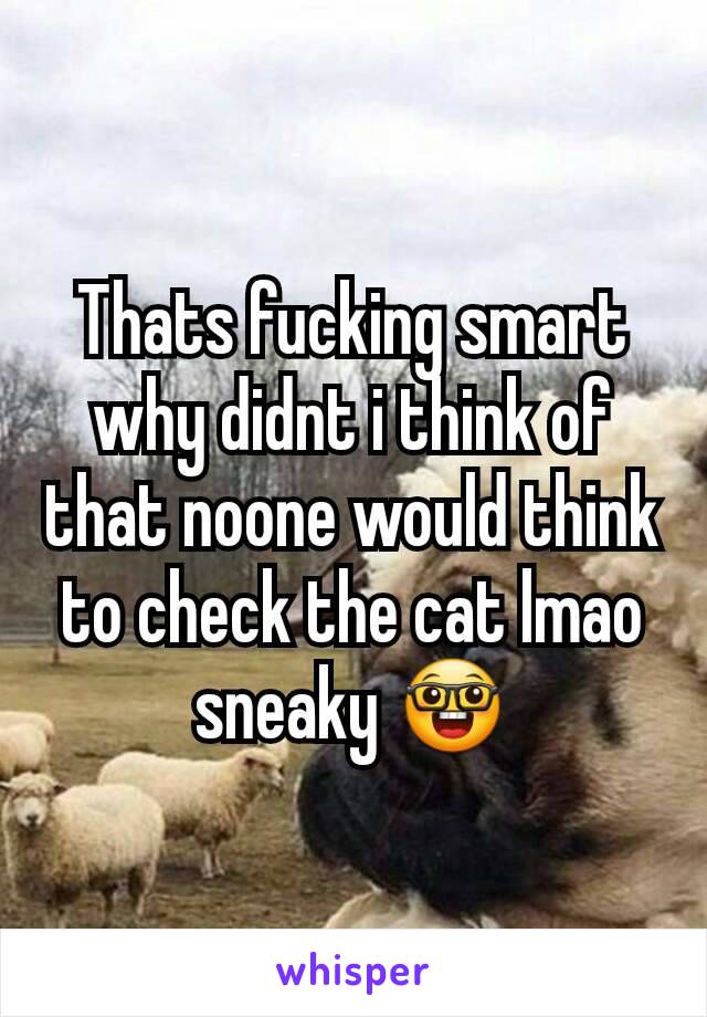 Thats fucking smart why didnt i think of that noone would think to check the cat lmao sneaky 🤓