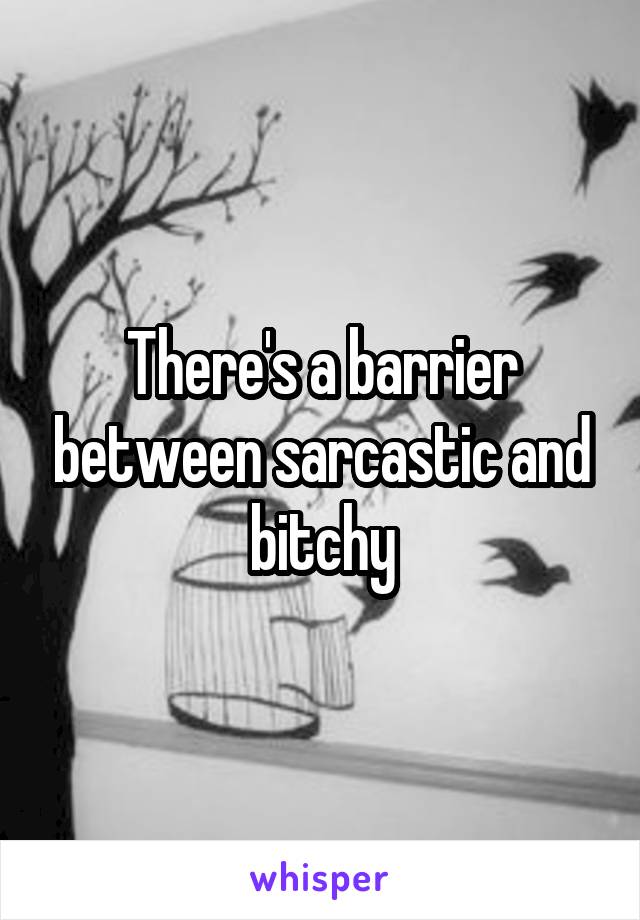 There's a barrier between sarcastic and bitchy