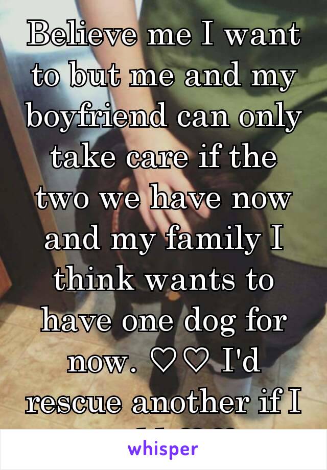 Believe me I want to but me and my boyfriend can only take care if the two we have now and my family I think wants to have one dog for now. ♡♡ I'd rescue another if I could ♡♡