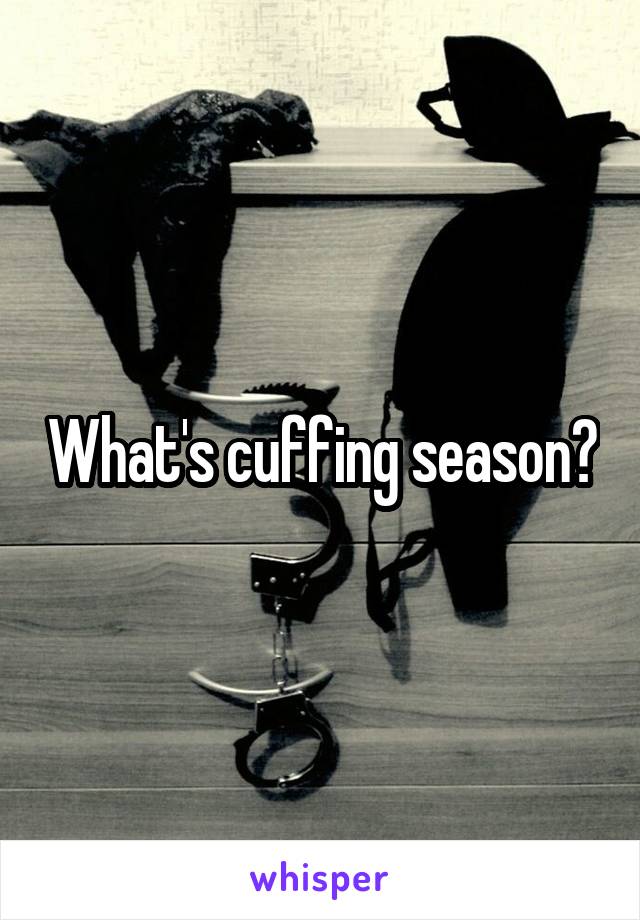 What's cuffing season?