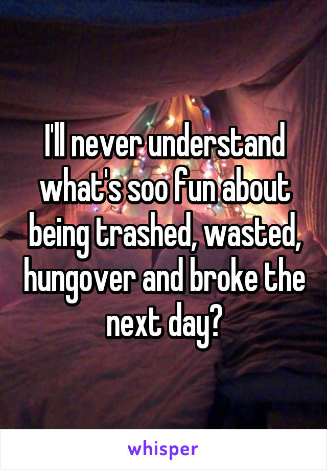 I'll never understand what's soo fun about being trashed, wasted, hungover and broke the next day?