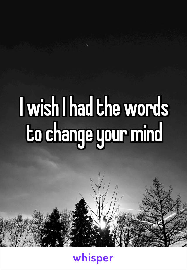 I wish I had the words to change your mind
