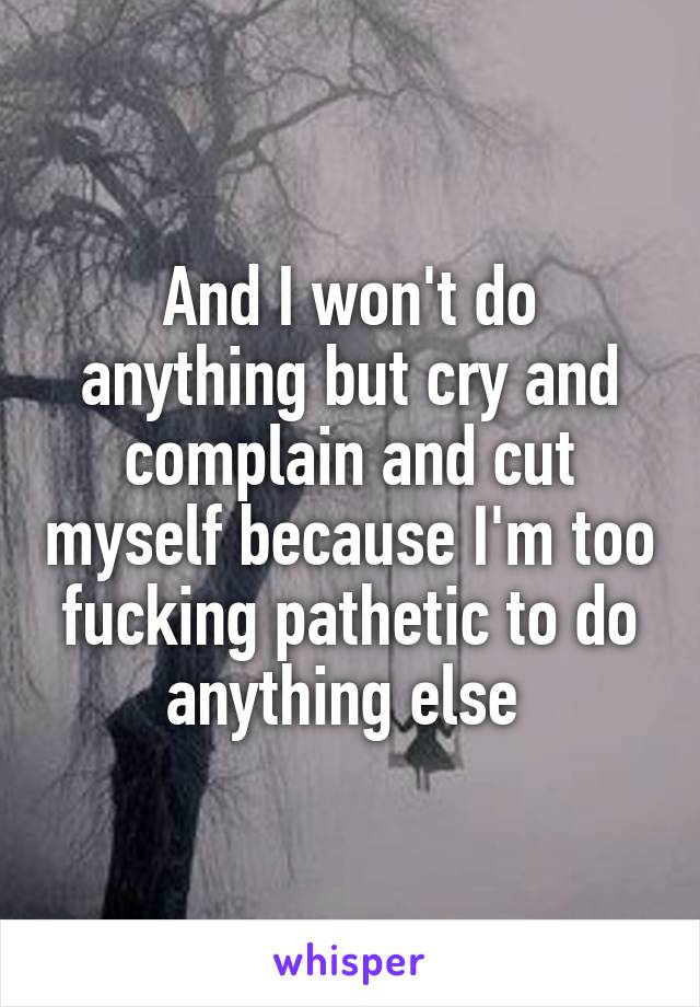 And I won't do anything but cry and complain and cut myself because I'm too fucking pathetic to do anything else 